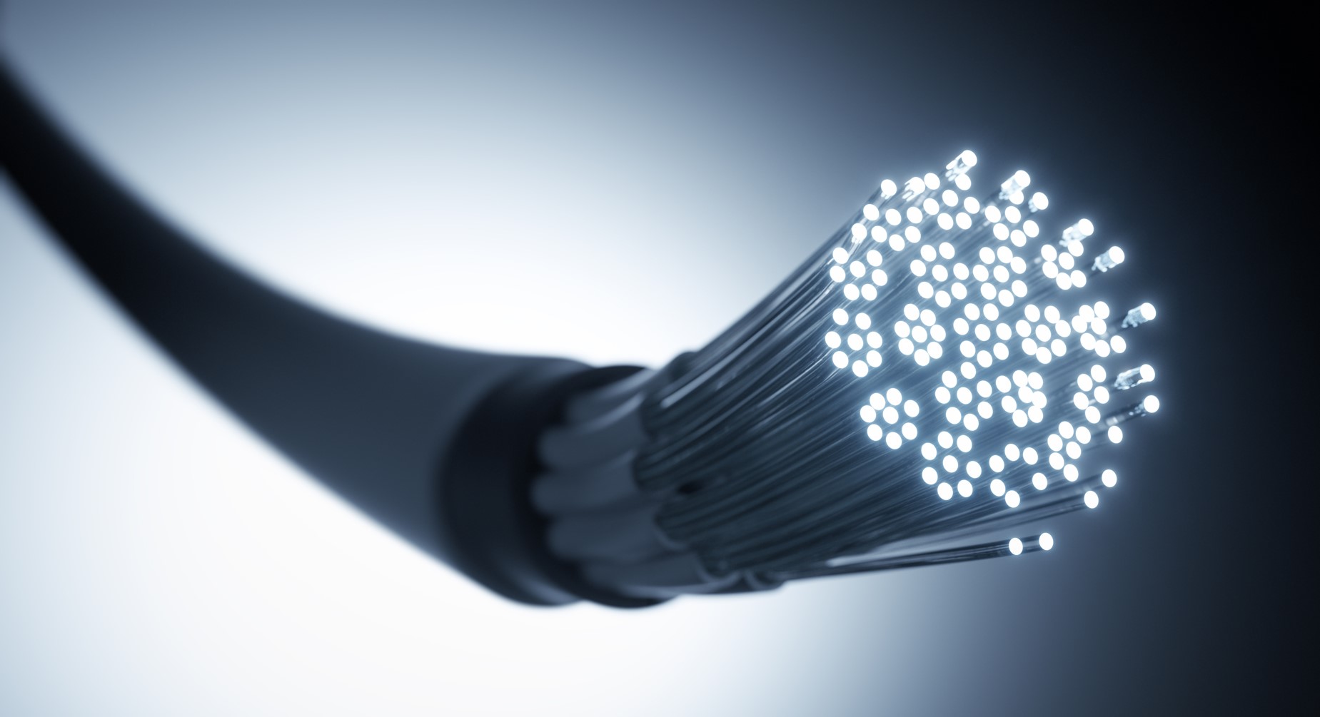 Close up photo of a bundle of optical fibers