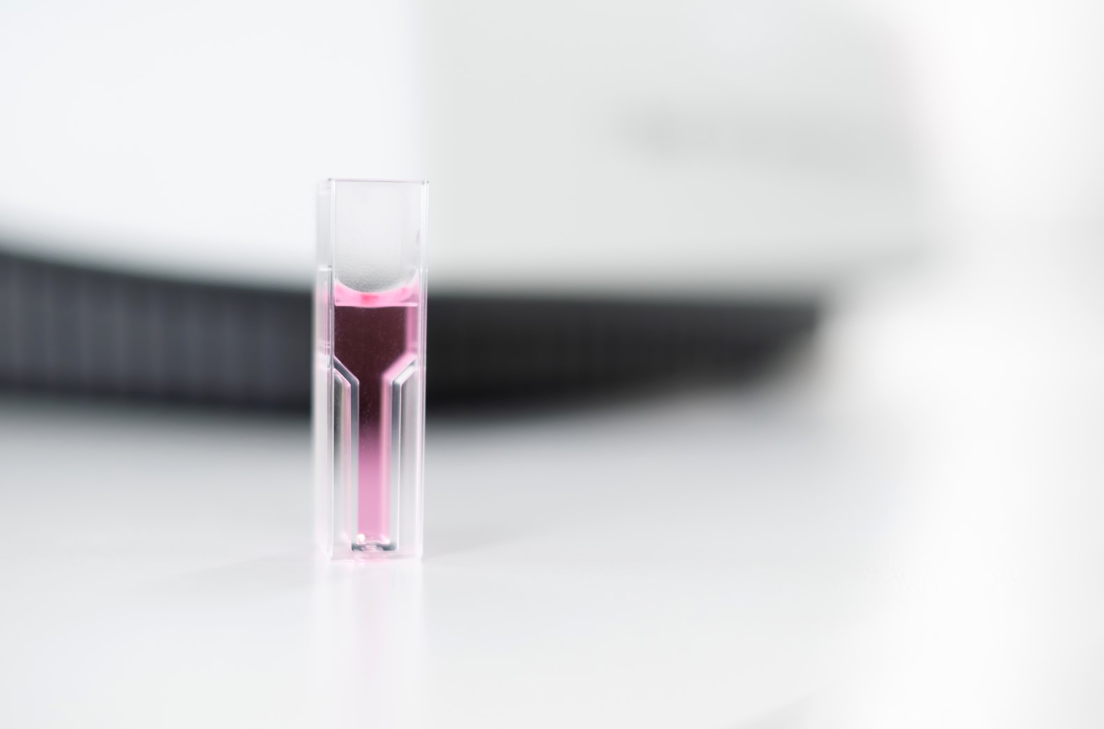 Close up photo of a cuvette containing a purple liquid